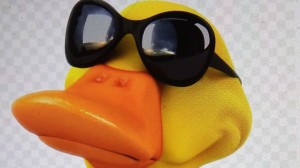 Создать мем: утка в черных очках, утка, веселая утка