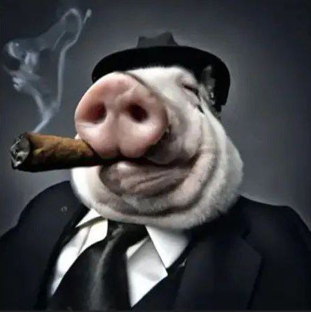 Create meme: pig face, the pig is cool, jay pig bond