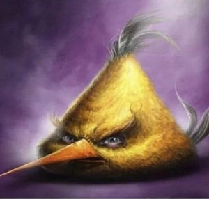 Создать мем: птички angry birds, энгри бердз желтая птица, sam spratt realistic angry birds