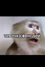 Create meme: monkey, funny meme