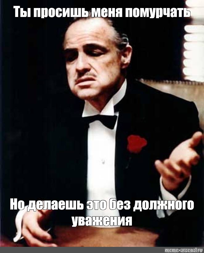 Должного уважения. Ты просишь без должного уважения. Картинка ты просишь без уважения. Сталин Мем уважаю. Просишь утеплитель без должного уважения.