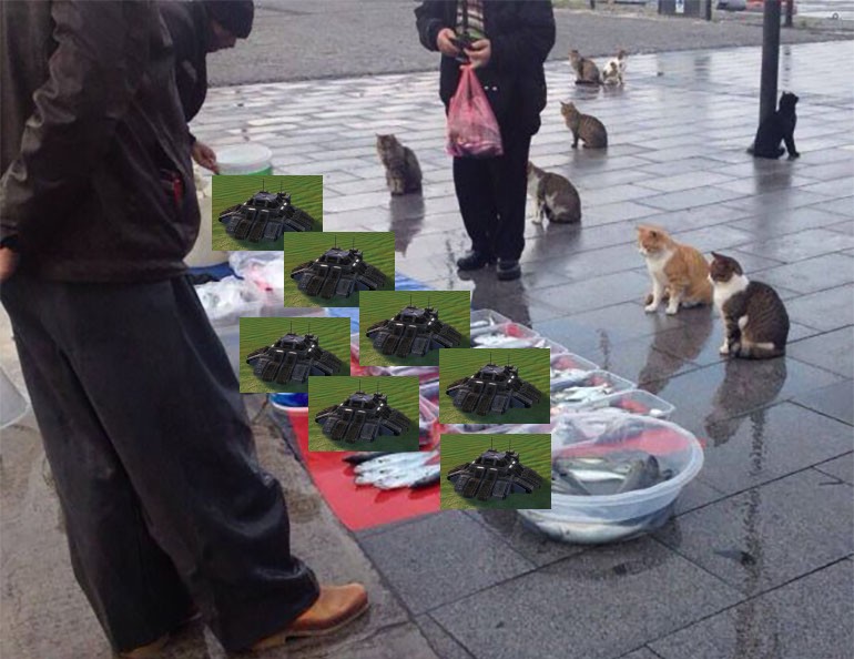 Создать мем: уличная торговля рыбой, кот несет рыбов, уличная кошка