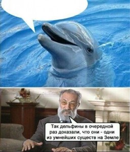 Создать мем: дельфины, речные дельфины, дельфины мемы