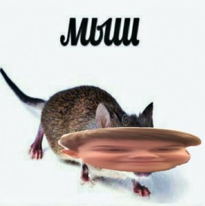 Создать мем: мышь крадется мем, скарамыш (кродеться) пикча, мыша