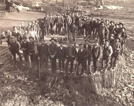 Create meme: The redwood loggers of the 19th century, giant sequoias of the 19th century, Lumberjacks and giant trees 1892-1937