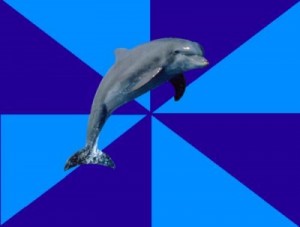 Create meme: Dolphin, dolphin, Drama Dolphin