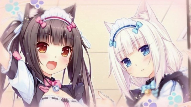 Create meme: nekopara, nekopara vol, nekopara chocola