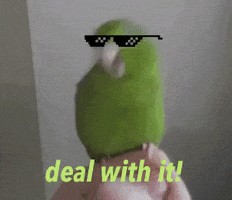 Создать мем: попугай зелёный, поющий попугай, прикольный попугай