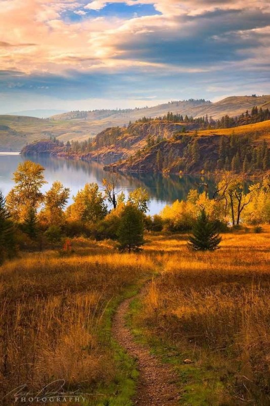 Create meme: autumn nature, autumn on the lake, landscape 