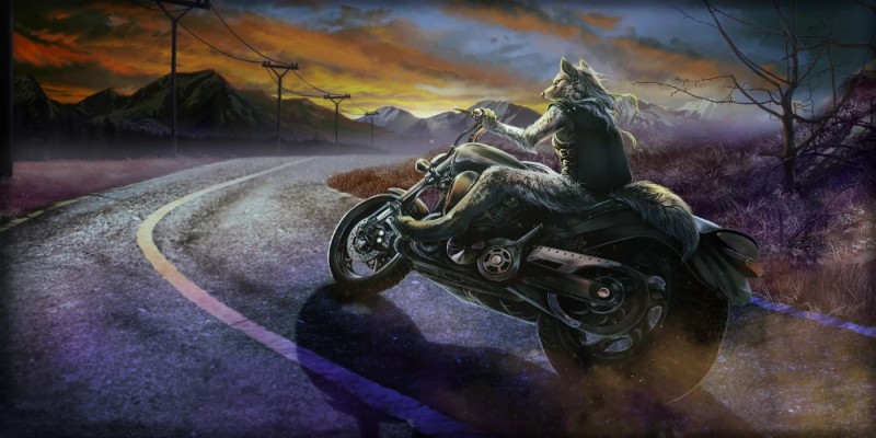 Create meme: wolf on a motorcycle, art motorcycle, wolf on a motorcycle wallpaper