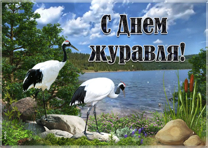 Create meme: crane day, cranes, white cranes day