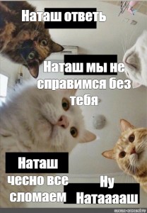 Будил наташу фото