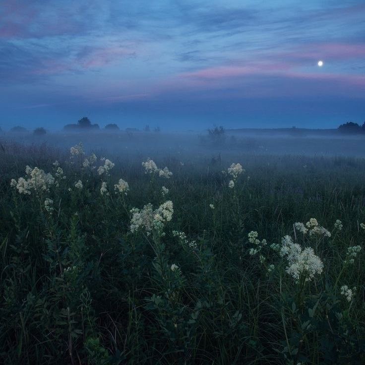 Create meme: summer night, night nature, aesthetics landscape