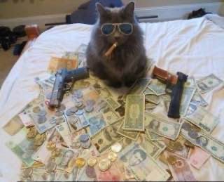 Создать мем: деньги, гангста кот, кот гангстер