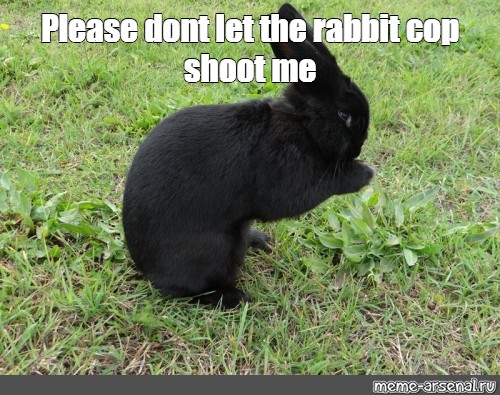 Meme: "Please dont let the rabbit cop shoot me" - All Templates - Meme