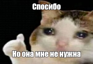 Создать мем: null