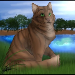 Create meme: warrior cat, storm tribe, warrior