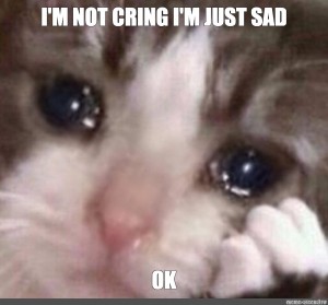 sad goodbye cat meme