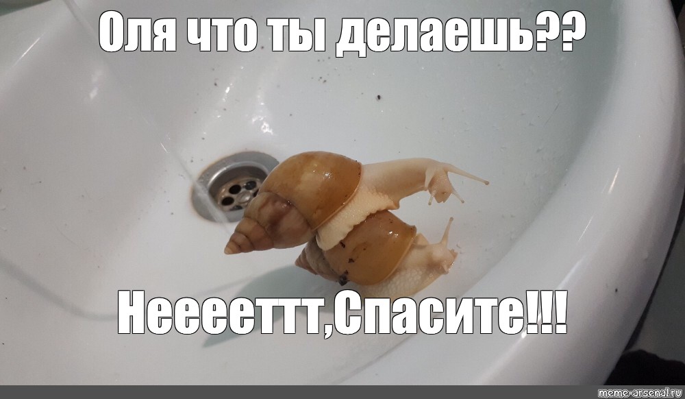 Включи спасите