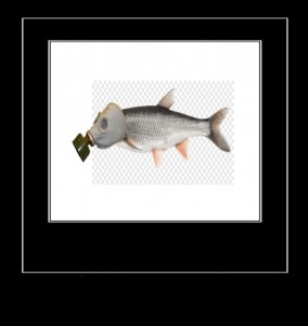 Create meme: river fish, roach, fish