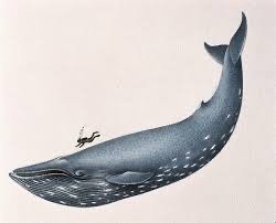 Create meme: blue whale, The weight of the blue whale, kit 