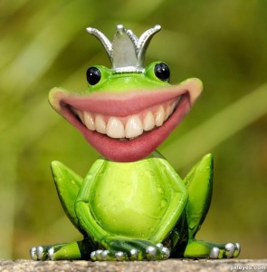 Create meme: frog, the frog Princess