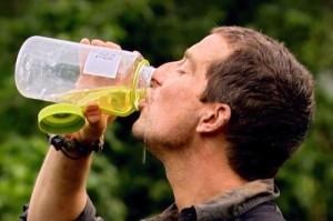 Create meme: beer, urine, bear grylls