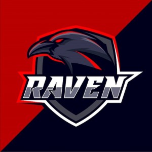 Создать мем: raven logo, спортивные ястребы лого, esport logo