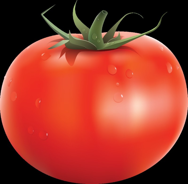 Create meme: tomato for kids, tomato on a transparent background, tomato drawing