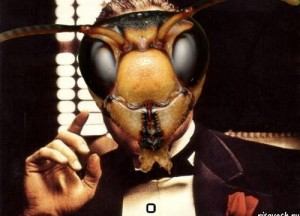Создать мем: глаза осы, шершень пчела-воробей, оса голова осы