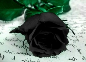 Создать мем: черная роза в руке, темные розы, черные цветы