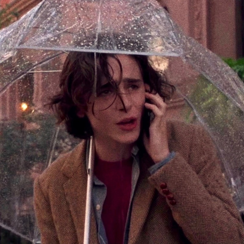 Create meme: timothy chalamet, a rainy day in new york, rainy day in new york