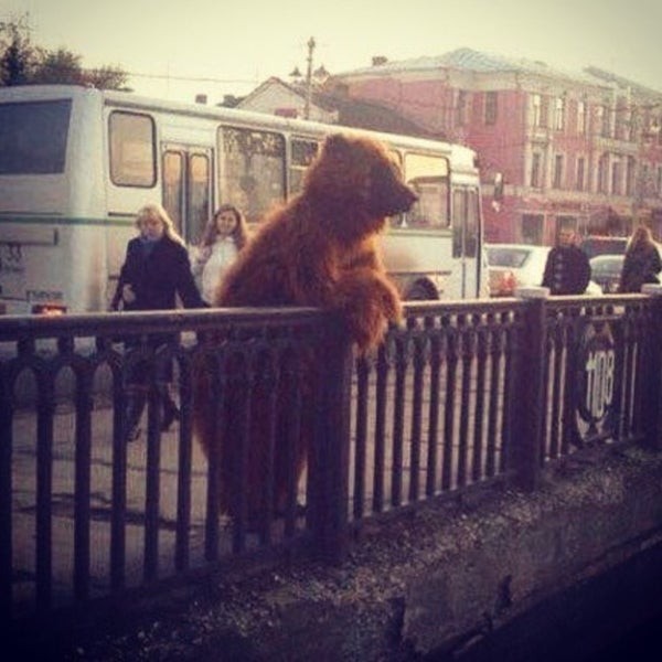 Create meme: meanwhile in russia , bears on the streets of Russia, cat 
