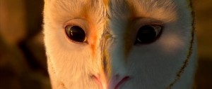 Create meme: owl, the guardian, owl city