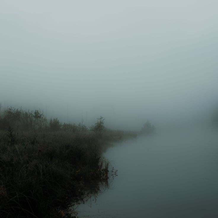 Create meme: the swamp in the fog, landscape fog, mist over the lake