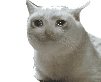 Create meme: cat meme , the cat from the meme, crying cats