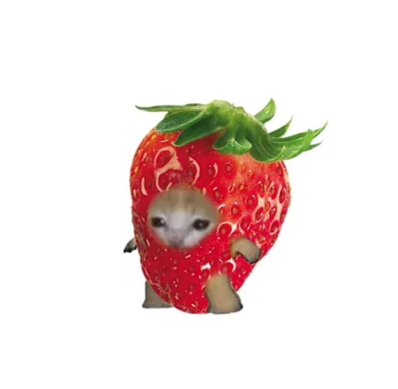 Create meme: strawberry , ripe strawberries, cats fruits