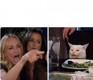 Создать мем: кот мем, мем с котом и двумя женщинами, мем с орущей женщиной и котом