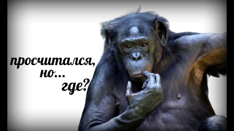 Create meme: pensive chimp, chimpanzees , bonobo chimpanzee