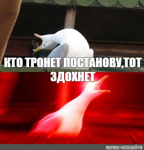 Картинка кто прочитал тот