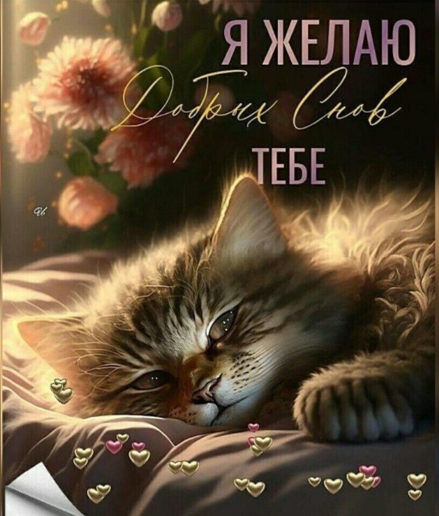 Создать мем: котик спокойной ночи, сладких снов, спокойной ночи открытки