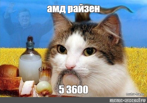 Сколько стоит амд райзен 3 3100