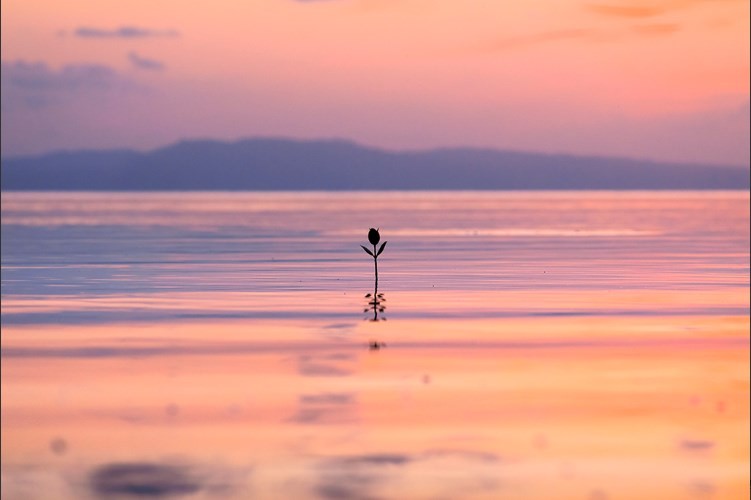 Create meme: lake elton, lake at sunset, Baikal sunset