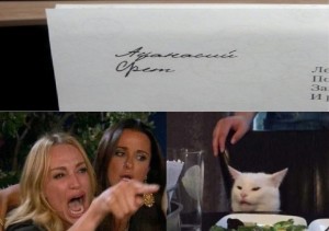 Создать мем: кот мем, женщина орет на кота, девушка орет на кота