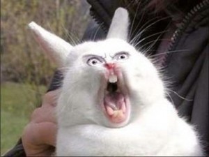 Create meme: rabbit, screaming rabbit