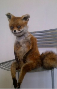 Create meme: Fox meme, a stuffed Fox meme, stoned Fox photo