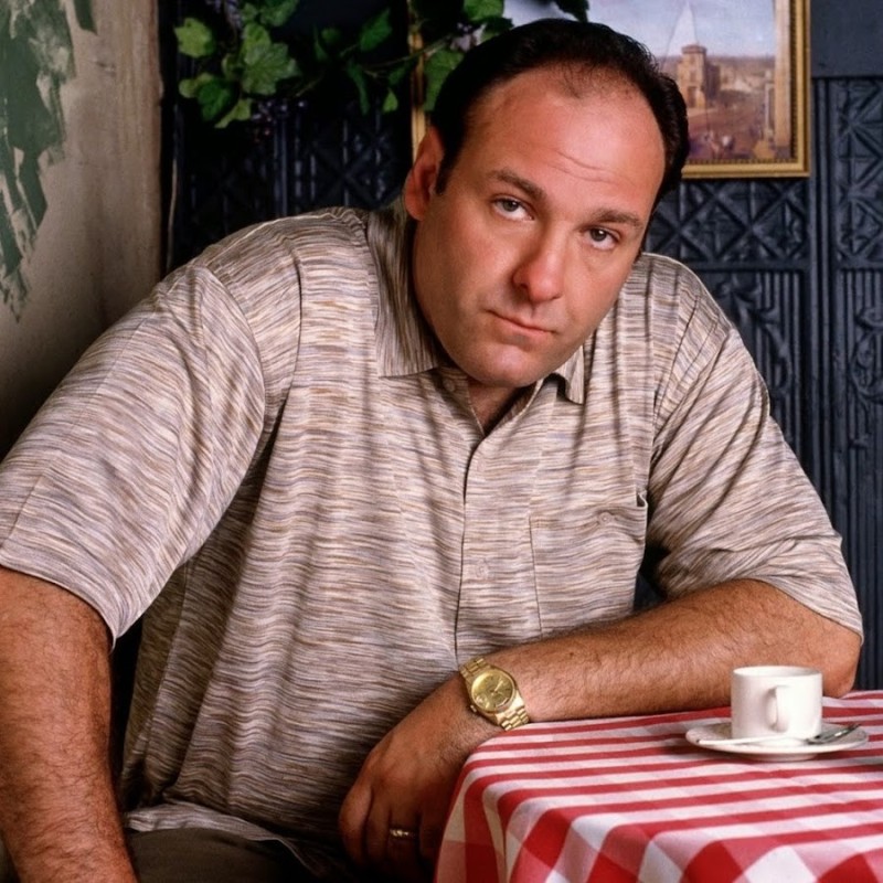 Создать мем: сопрано rolex day date, тони сопрано актер, tony soprano