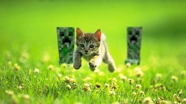 Create meme: kitten on the grass, creeper and cat, minecraft cat