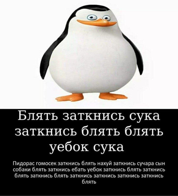 Создать мем: пингвины из мадагаскара рядовой, пингвины мадагаскара прапор, пингвины мадагаскара рядовой