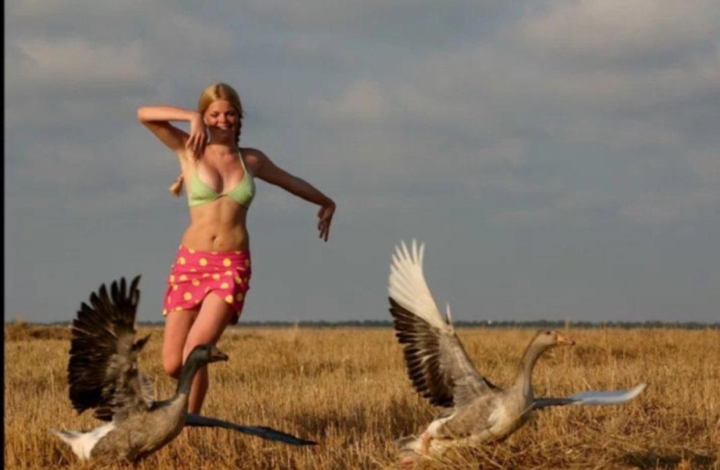 Create meme: hunting , the girl with the goose, goose hunting